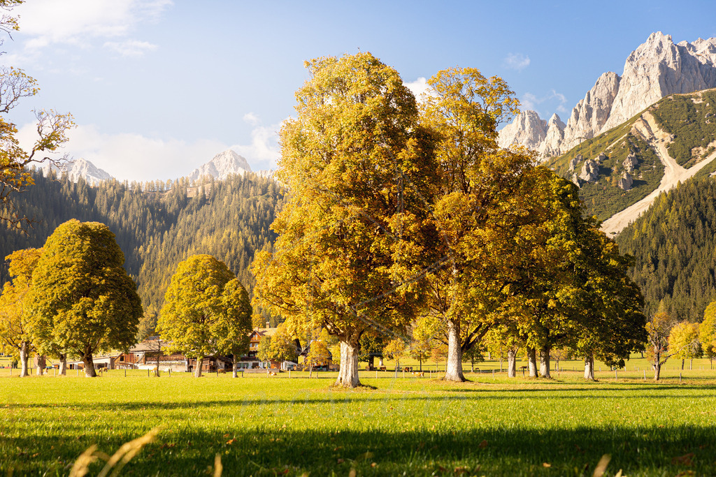 Herbst in der Ramsau | Ihre Fotografin im Lungau, ihre Fotografin im Mostviertel, Wandbilder Onlineshop, Imagefotos für Ihr Unternehmen,  - Realisiert mit Pictrs.com