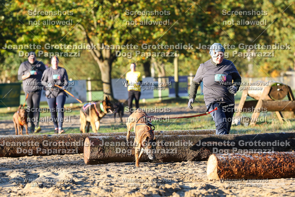 Dog Paparazzi - Strongdog 10-25-642 | Dog Paparazzi Jeanette Grottendiek Fotografie & Videografie - Realisiert mit Pictrs.com