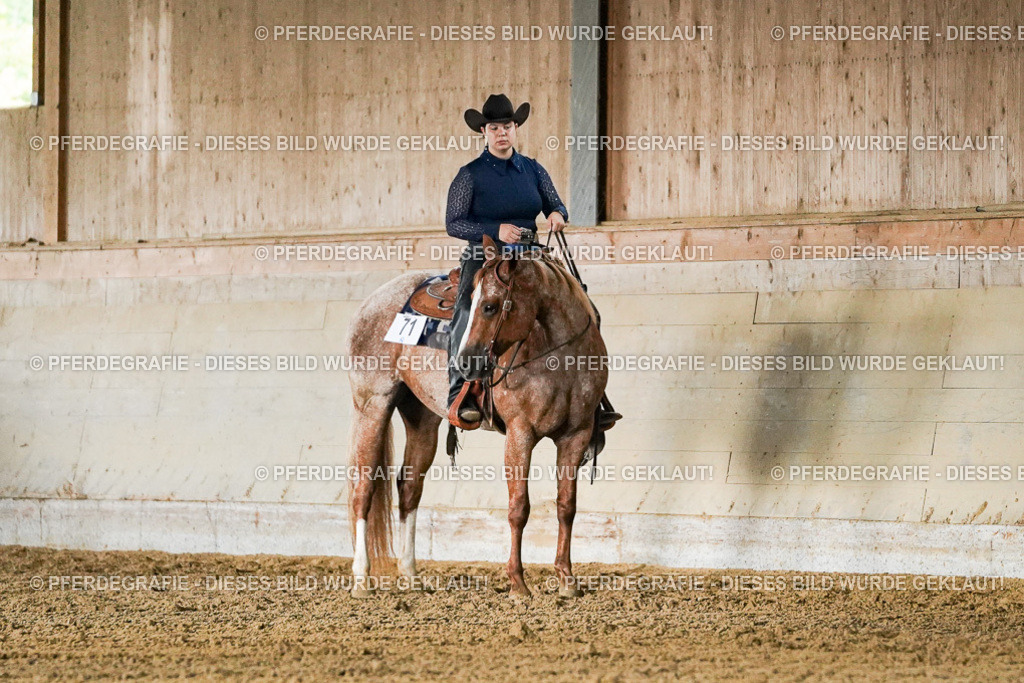 DSC05293 | Pferdegrafie