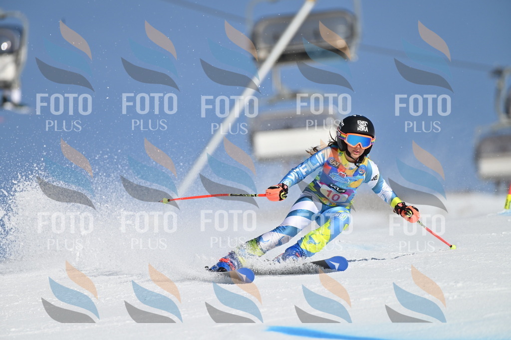 BGV_7750 | holidayphoto