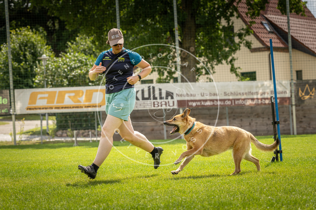 Pfotenfotografie_DV3A4373 | Hundefotografie, Tierfotograf, Pfotenfotografie, Fotoshooting Hund, Hunde Portrait, Hundesport, Hundeportraits, Heideshooting, Hunde, Sportfotograf, Hundefotograf, Turnierhundsport, THS,  - Realisiert mit Pictrs.com