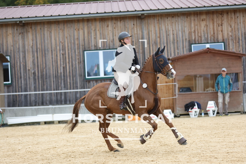 0P6A9065 | Willkommen bei Brunnmayr - Design & Fotografie – Ihrem Spezialisten für Reitturniere und Pferdeveranstaltungen in Oberösterreich, Salzburg und Bayern! Seit über 17 Jahren sind wir leidenschaftlich dabei.