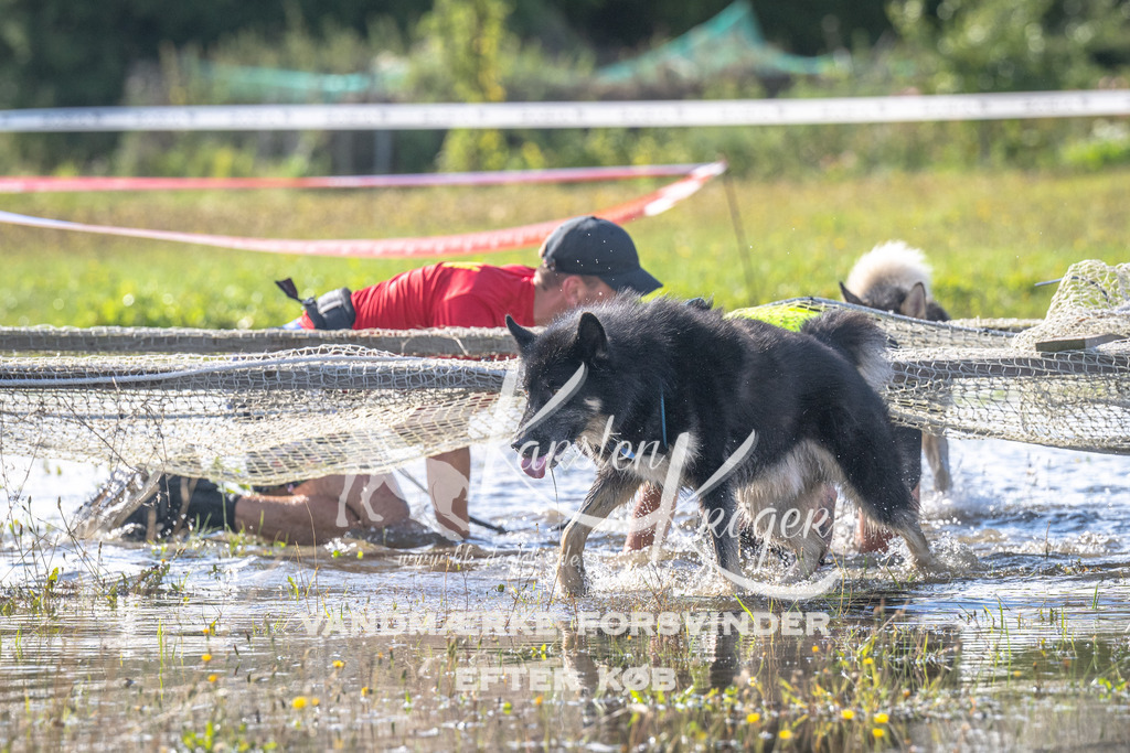 1032_ZZ90537 | kk-dogfotos