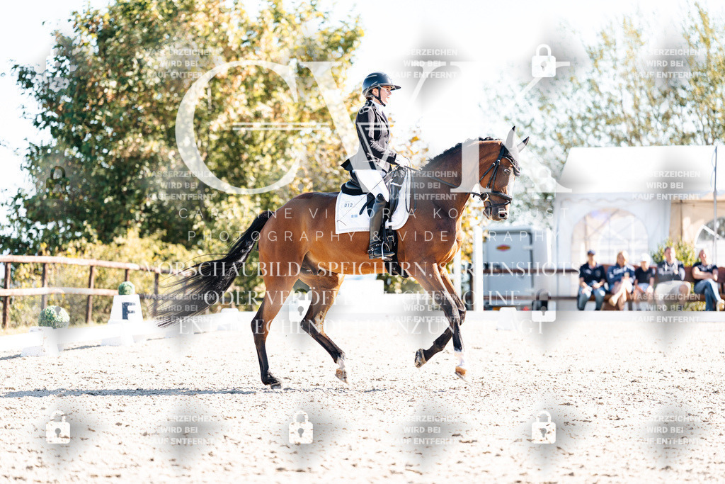 CK908656 | Turnierfotografie Pferdefotografie Trier Rheinland-Pfalz Pferdesport Reitsport Tierfotografie Sportfotografie Pferdevideo Pferdevideografie Equestrianvideography equestrianphotography  - Realisiert mit Pictrs.com