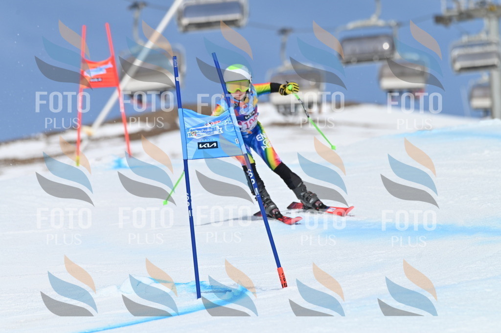 BGV_0838 | holidayphoto