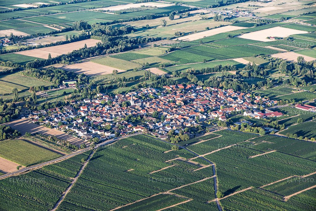 Luftbild: Ortsansicht von Nordosten in Venningen im Bundesland Rheinland-Pfalz in Deutschland. – Foto: IMG_158517.jpg vom 07.08.2026 durch Werner Riehm/FLY-FOTO.de – Auflösung des Originals: 6000 x 4000 px