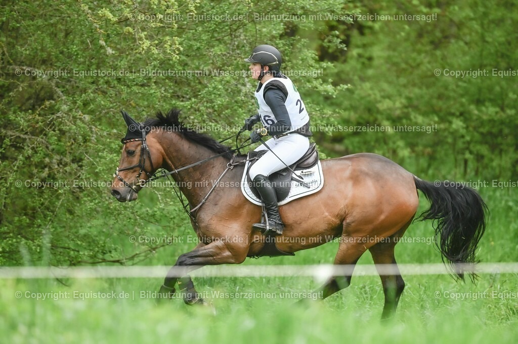 20230513_CCI2_Section2_Gelände_0183 | equistock