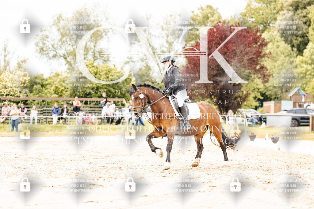 CK902891 | Turnierfotografie Pferdefotografie Trier Rheinland-Pfalz Pferdesport Reitsport Tierfotografie Sportfotografie Pferdevideo Pferdevideografie Equestrianvideography equestrianphotography  - Realisiert mit Pictrs.com