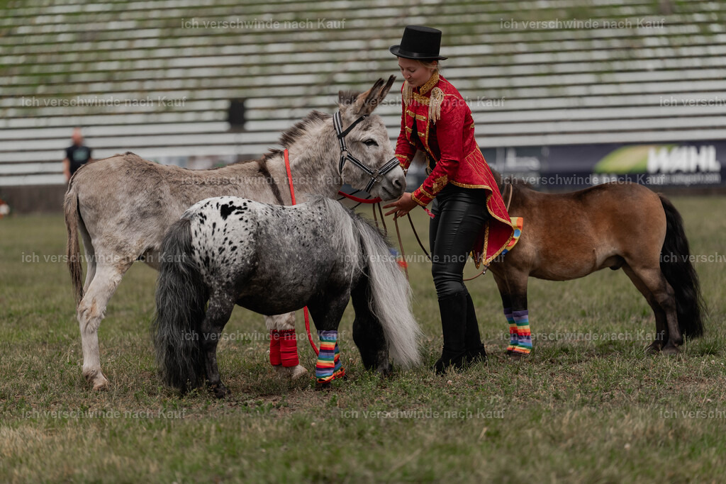 Showprogramm-251 | working equitationturnier fotograf videograf stoibphotography marixx film working equitation deutschland reitsport turnierfotografie eventfotografie equestrian events