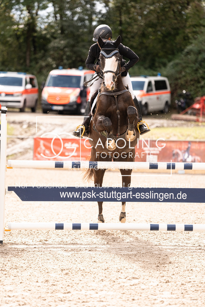 DSC03775 | Carolin Gieschke