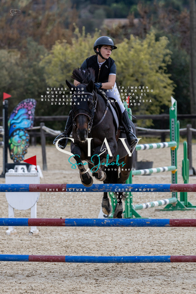 IMG_4142 | s-jay-photography - Realized with Pictrs.com