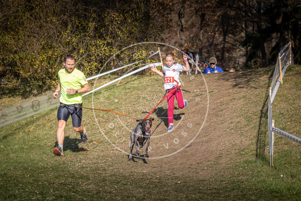 CaniXpix_0L8A8669 | Hundefotografie, Tierfotograf, Pfotenfotografie, Fotoshooting Hund, Hunde Portrait, Hundesport, Hundeportraits, Heideshooting, Hunde, Sportfotograf, Hundefotograf, Turnierhundsport, THS,  - Realisiert mit Pictrs.com