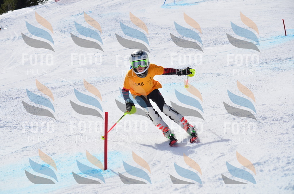 C9830 | holidayphoto