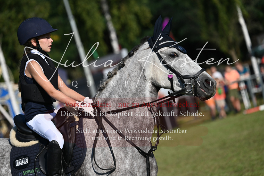 DSC_5052 | Pferde- und Turnierfotografie in Westsachsen. Pferdeportraits, Auftragszeichnungen und intuitive Kunst.