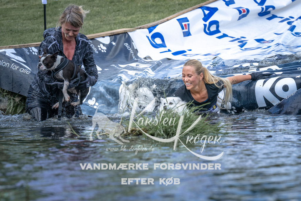 1111_ZZ91392 | kk-dogfotos