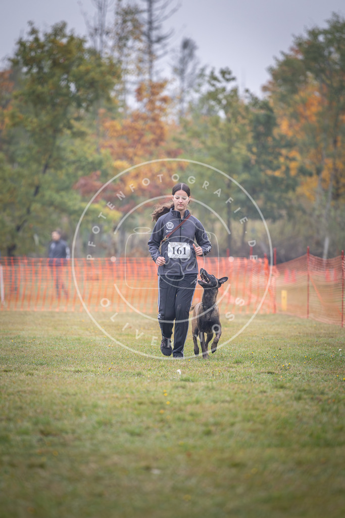 Pfotenfotografie_DV3A8775 | Hundefotografie, Tierfotograf, Pfotenfotografie, Fotoshooting Hund, Hunde Portrait, Hundesport, Hundeportraits, Heideshooting, Hunde, Sportfotograf, Hundefotograf, Turnierhundsport, THS,  - Realisiert mit Pictrs.com