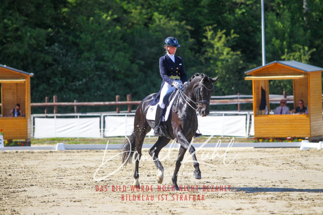 DKP42616 | Turniersportfotografie; Pferdefotografie; Dressurfotografie
