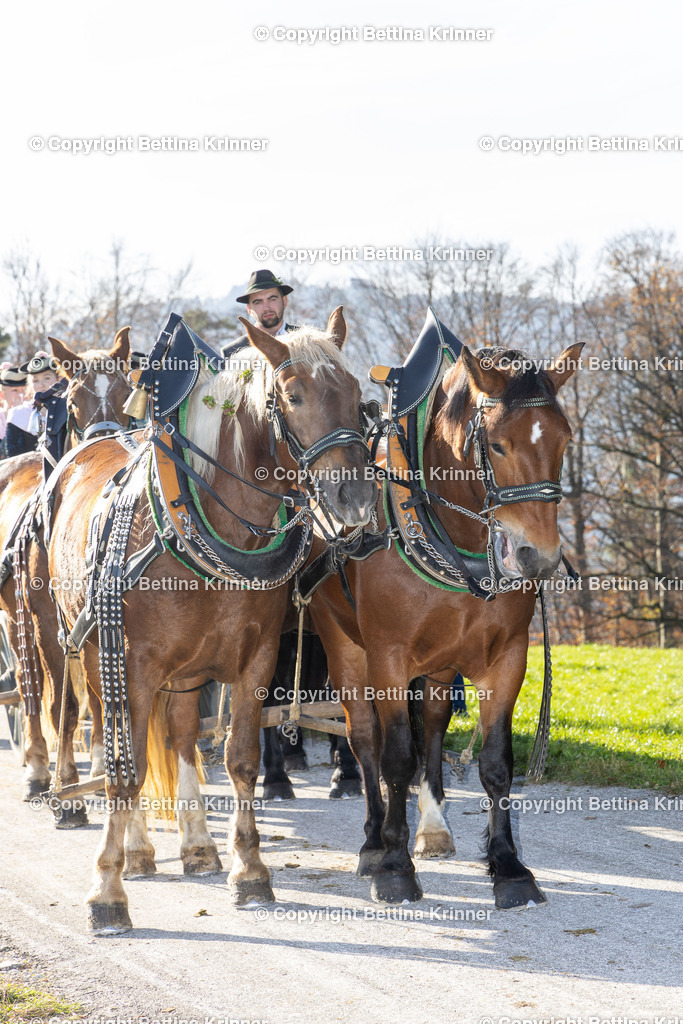 LBT24-1606 | foto-bettina-krinner - Realisiert mit Pictrs.com