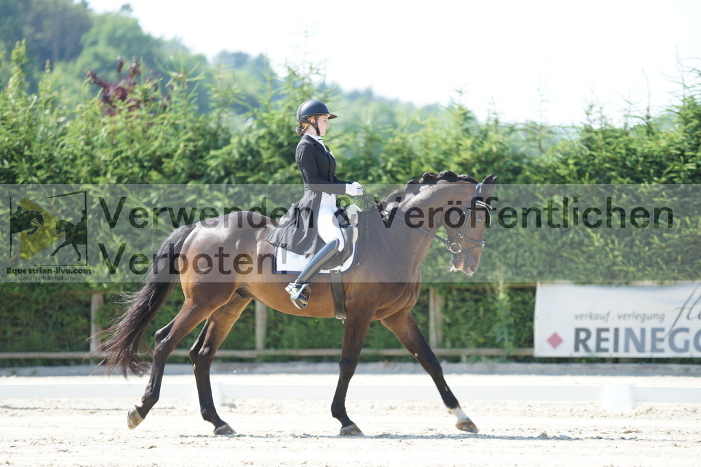 DSC02347 | equestrian-live-com