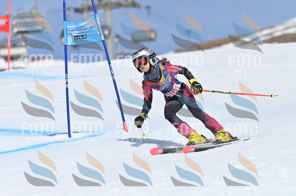 BGV_0275 | holidayphoto