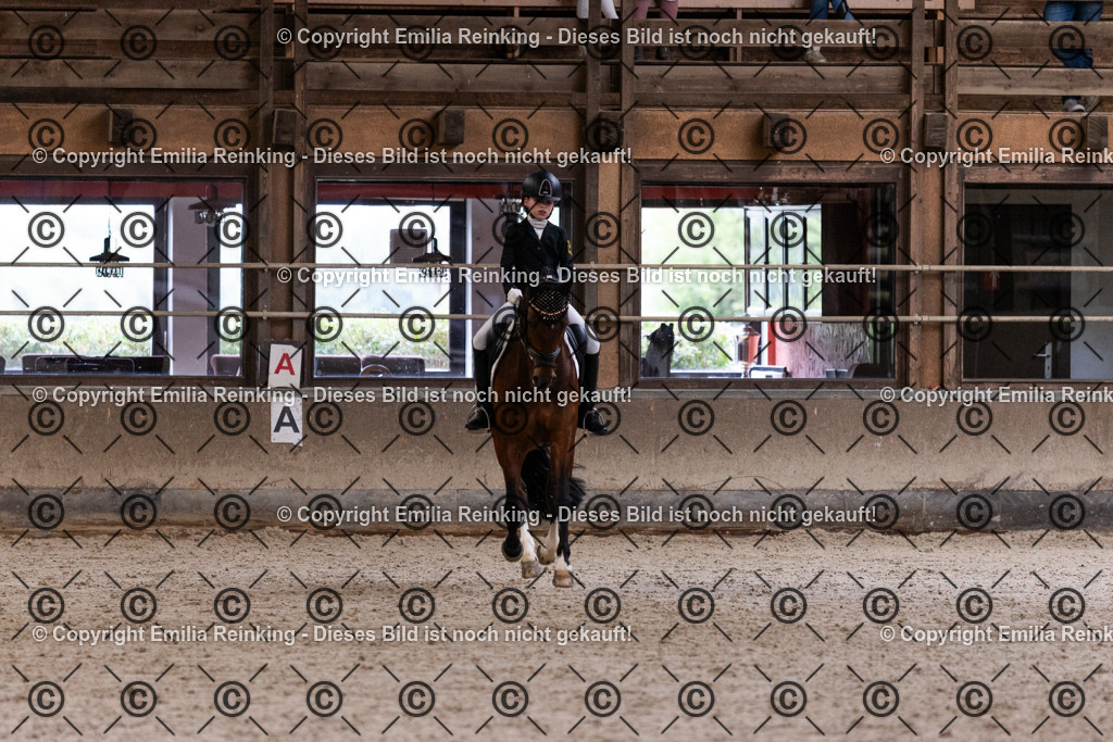 CL5A5059 | Emilia Reinking Fotografie - Realisiert mit Pictrs.com