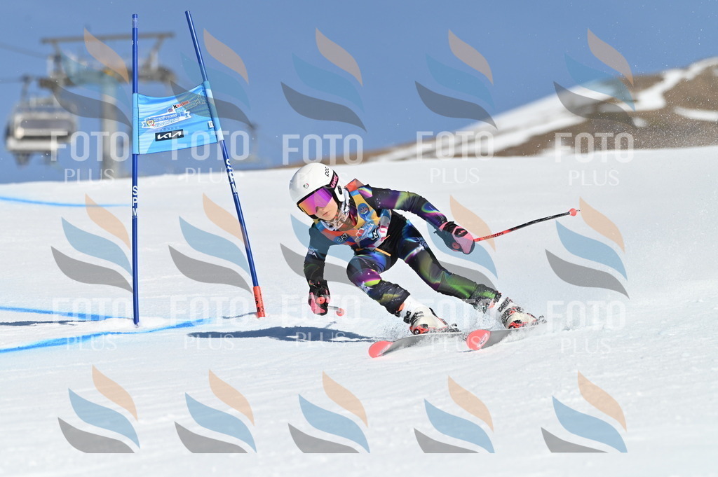 BGV_7797 | holidayphoto