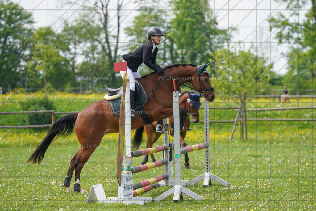 20240509-FAH02761 | Turnierbilder der Turnierfotografen Bayern, Pferdesport Fotografie, Reitsportbilder, Turnier Landberg am Lech, Turnierbilder bayern, Fotoagentur Herrmann