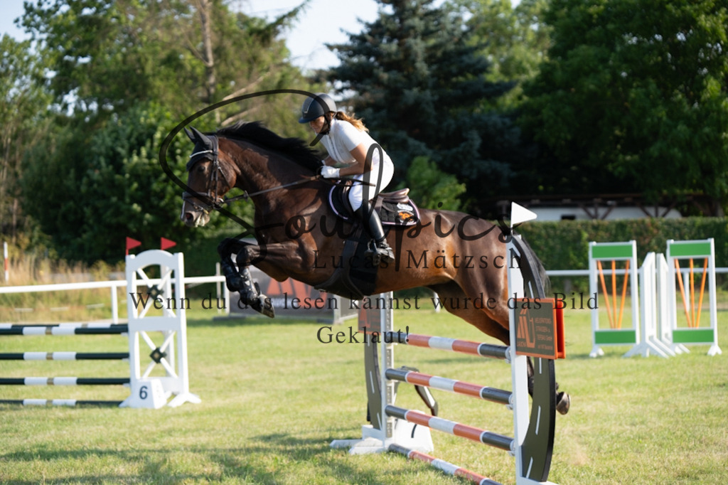 A7V00884 | Pferdefotograf