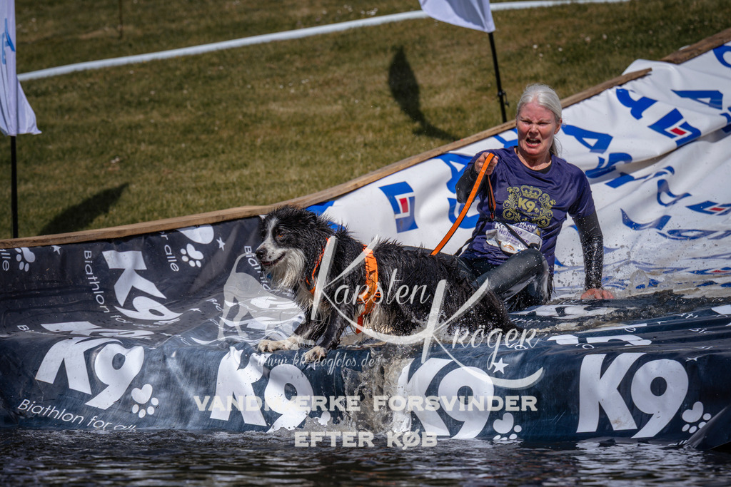 _ZZ937460943 | kk-dogfotos