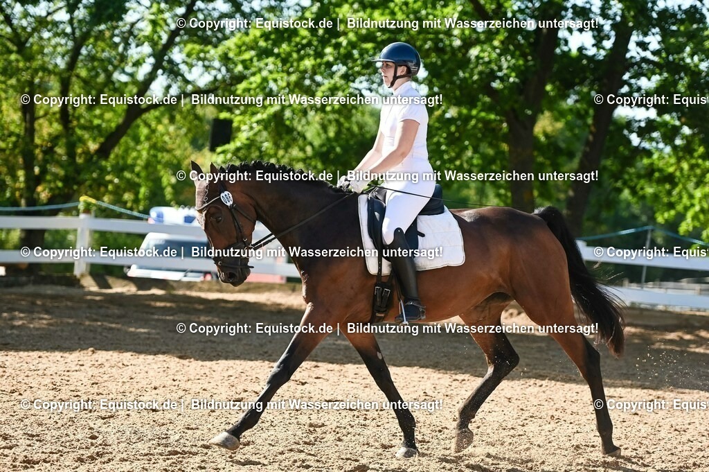 20230715_06_Dressurpferdeprfg. Kl.A_0278 | equistock