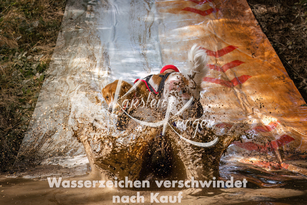 1355_ZZ93314 | kk-dogfotos