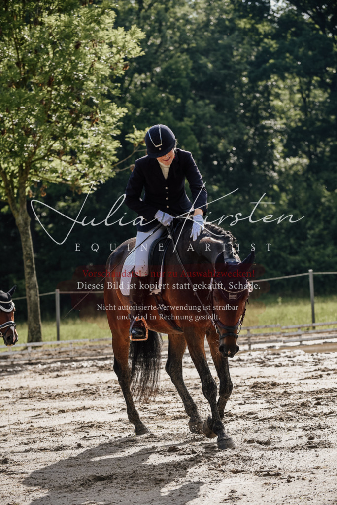 DSC_8828 | Pferde- und Turnierfotografie in Westsachsen. Pferdeportraits, Auftragszeichnungen und intuitive Kunst.