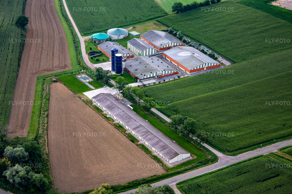 Luftbild: Viehzucht mit Biogasanlage in Trimbach im Bundesland Bas-Rhin in Frankreich. Foto: IMG_137719.jpg vom 12.08.2023 durch Werner Riehm/FLY-FOTO.de