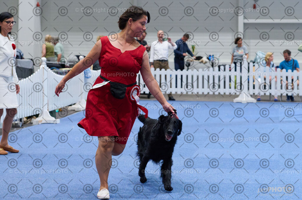 202406_ÖKV-IHA-Tulln24_DSC_5110 | proPHOTO - Realisiert mit Pictrs.com