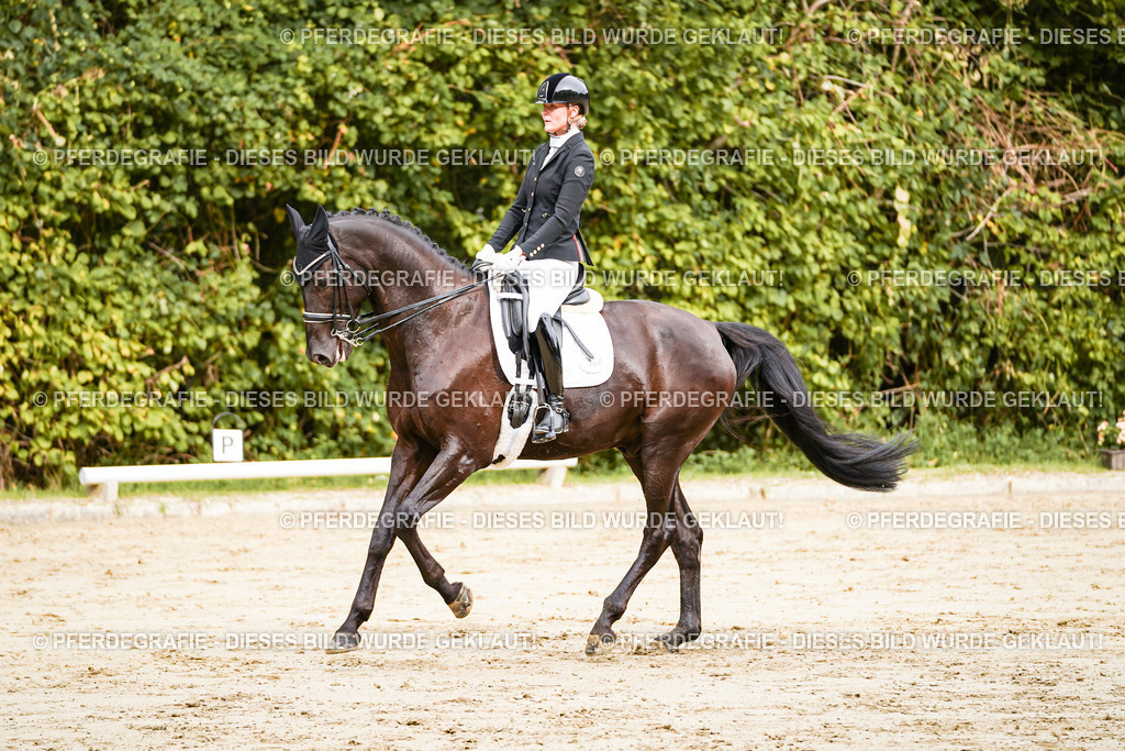 DSC02397 | Pferdegrafie