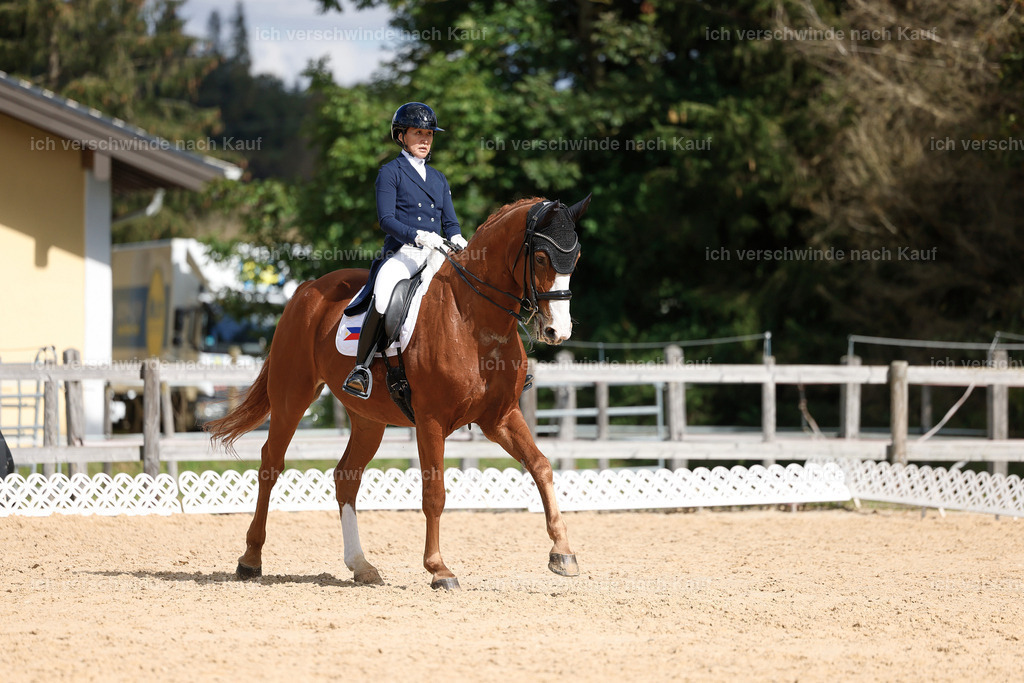 09_2-231-DRESSUR  S_  -StoibPH-5918 | working equitationturnier fotograf videograf stoibphotography marixx film working equitation deutschland reitsport turnierfotografie eventfotografie equestrian events