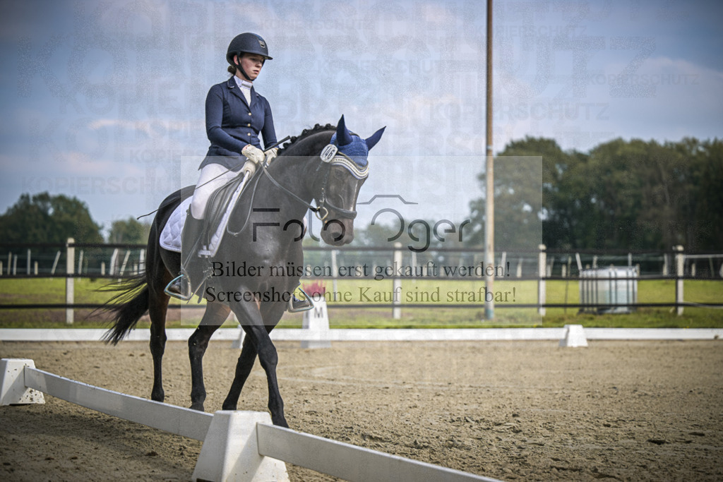 DOS_B604 | Entdecke hochwertige Reitturnierfotos von Foto Oger. Professionell, emotional und authentisch – jetzt Lieblingsmomente im Shop bestellen.Deutschlandweite Turnierfotografie. - Realisiert mit Pictrs.com