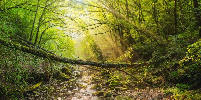 RO_Valea_Sighistelului_4500px_shortside