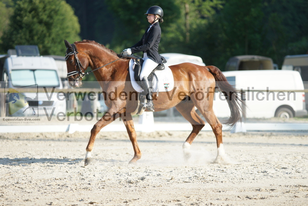 DSC02676 | equestrian-live-com
