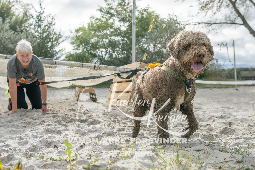 1203_ZZ90101 | kk-dogfotos