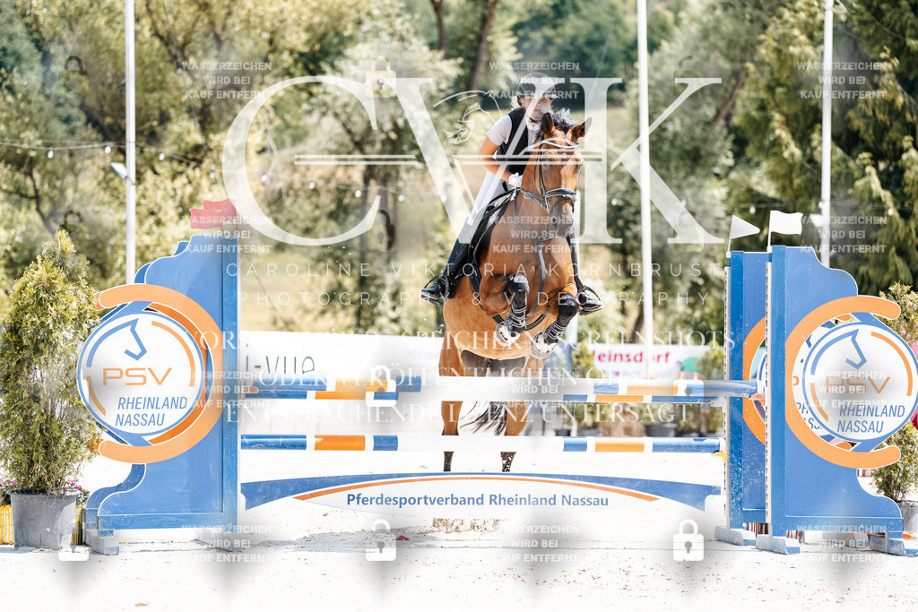 CK907587 | Turnierfotografie Pferdefotografie Trier Rheinland-Pfalz Pferdesport Reitsport Tierfotografie Sportfotografie Pferdevideo Pferdevideografie Equestrianvideography equestrianphotography  - Realisiert mit Pictrs.com