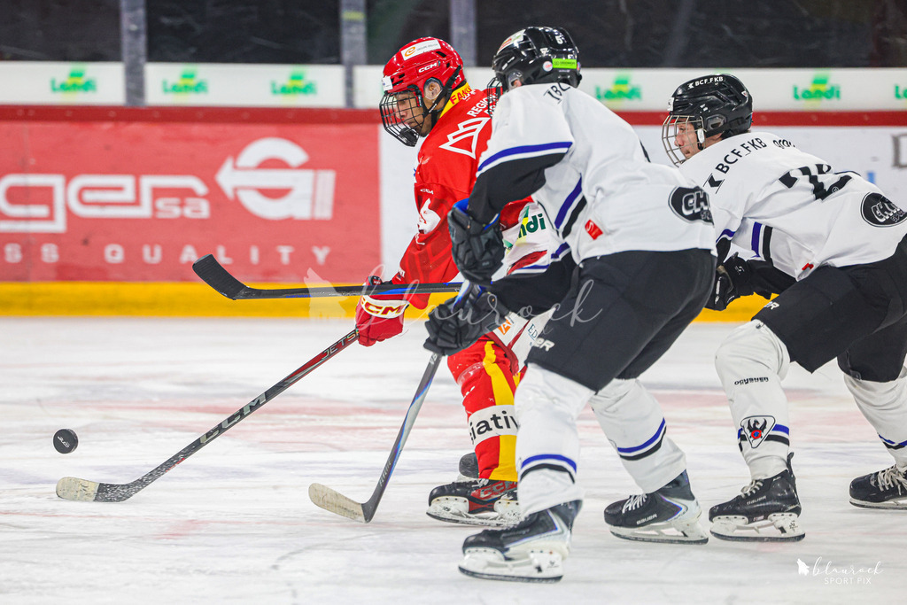 EHCB Spirit vs HCFG_wb-8823 | Sportbilder, Sportfotograf, Hochzeits- und Eventfotografin, Flugshows, Portraits und Tiershooting, Aviation, Downhill, Nationalleague, Swissleague, International