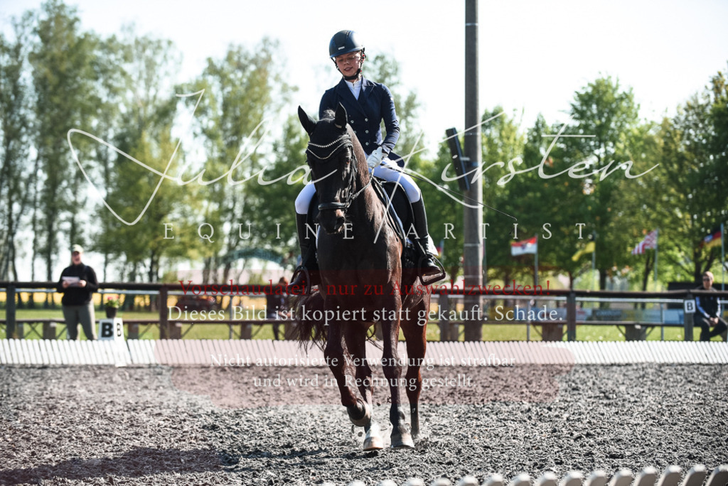 DSC_8587 | Pferde- und Turnierfotografie in Westsachsen. Pferdeportraits, Auftragszeichnungen und intuitive Kunst.