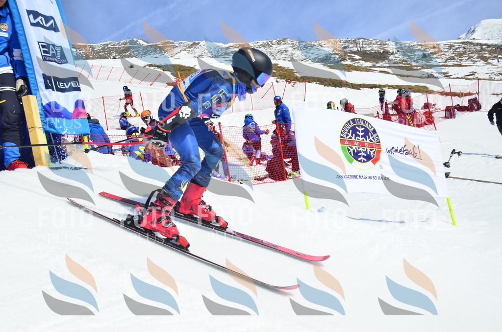 _ELE1258 | holidayphoto