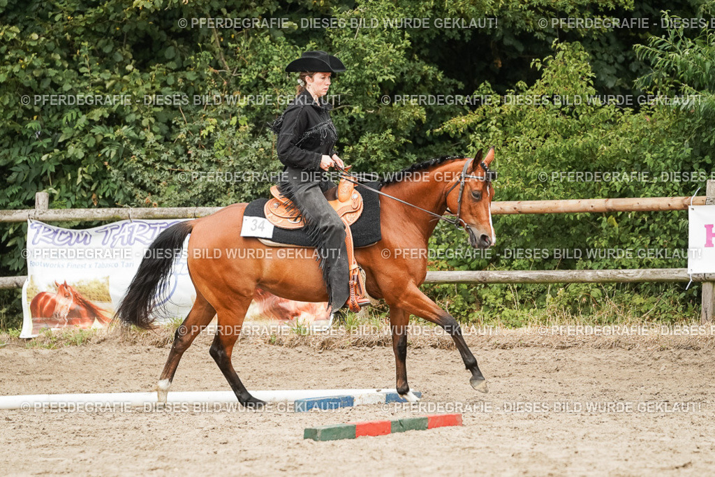 DSC08243 | Pferdegrafie