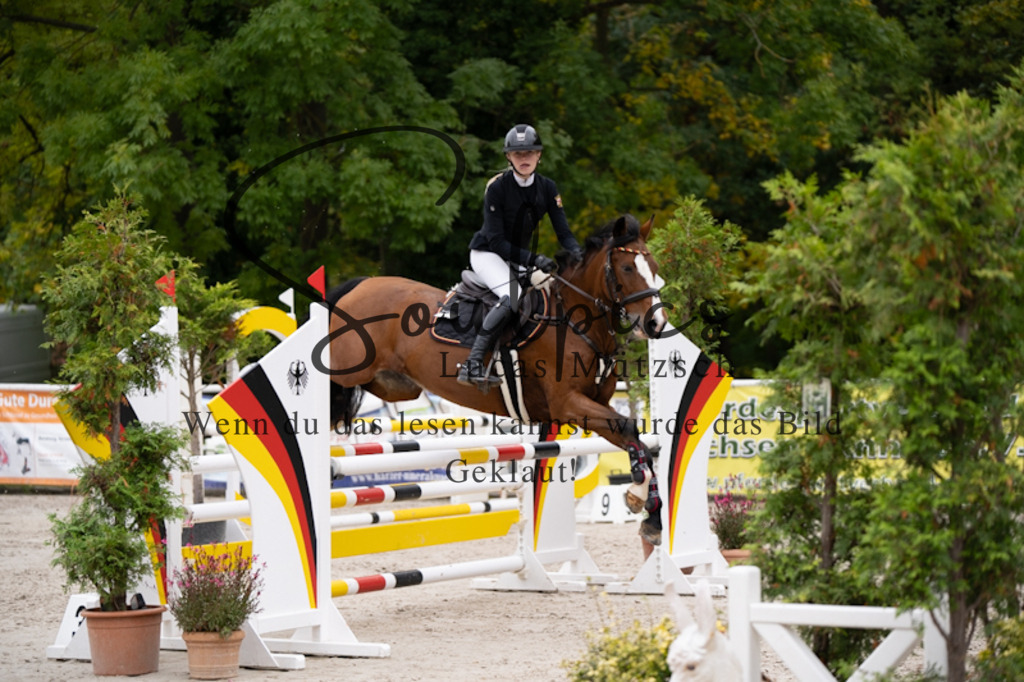 A7V09394 | Pferdefotograf