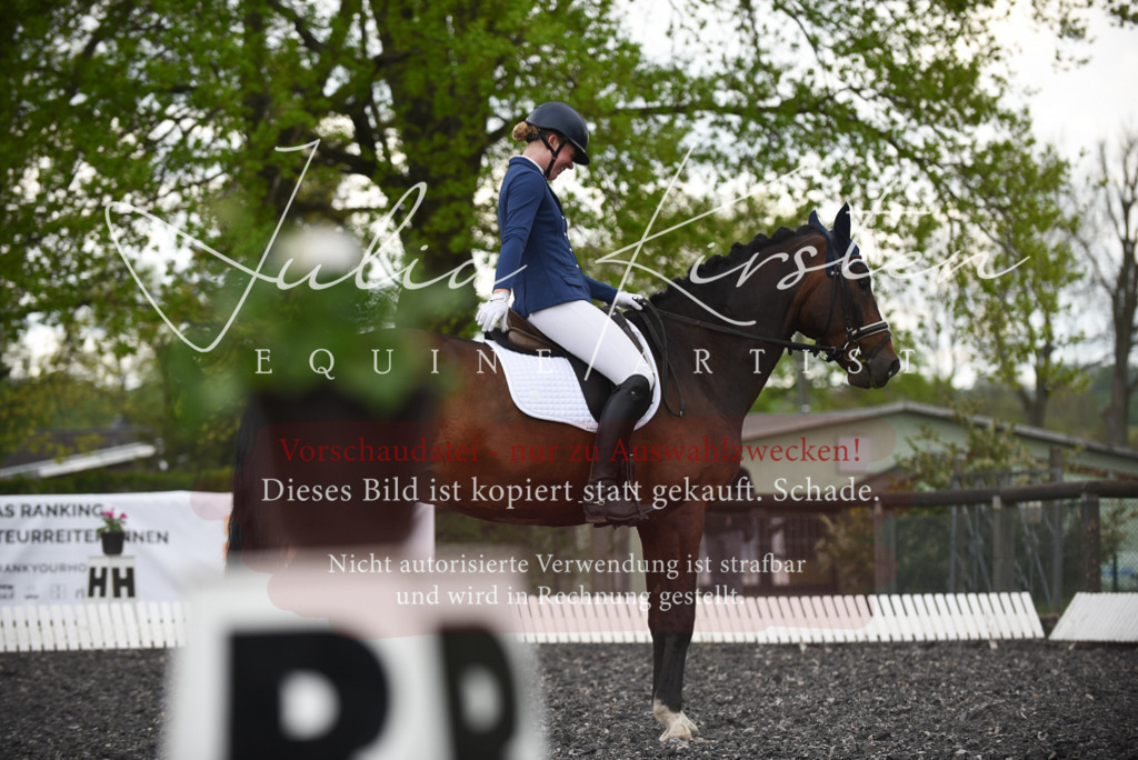 20230513_JK-Röhrsdorf-15-093 | Pferde- und Turnierfotografie in Westsachsen. Pferdeportraits, Auftragszeichnungen und intuitive Kunst.