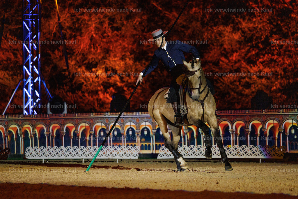 FHClassics-185 | working equitationturnier fotograf videograf stoibphotography marixx film working equitation deutschland reitsport turnierfotografie eventfotografie equestrian events