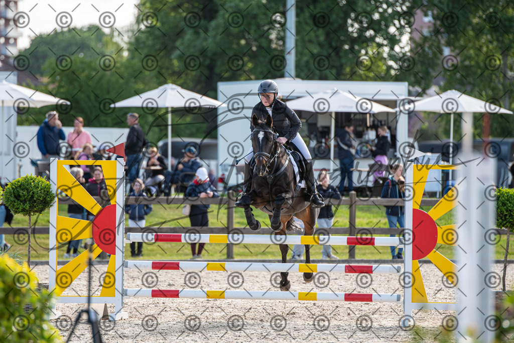 KPT_4402 | andre_photographic