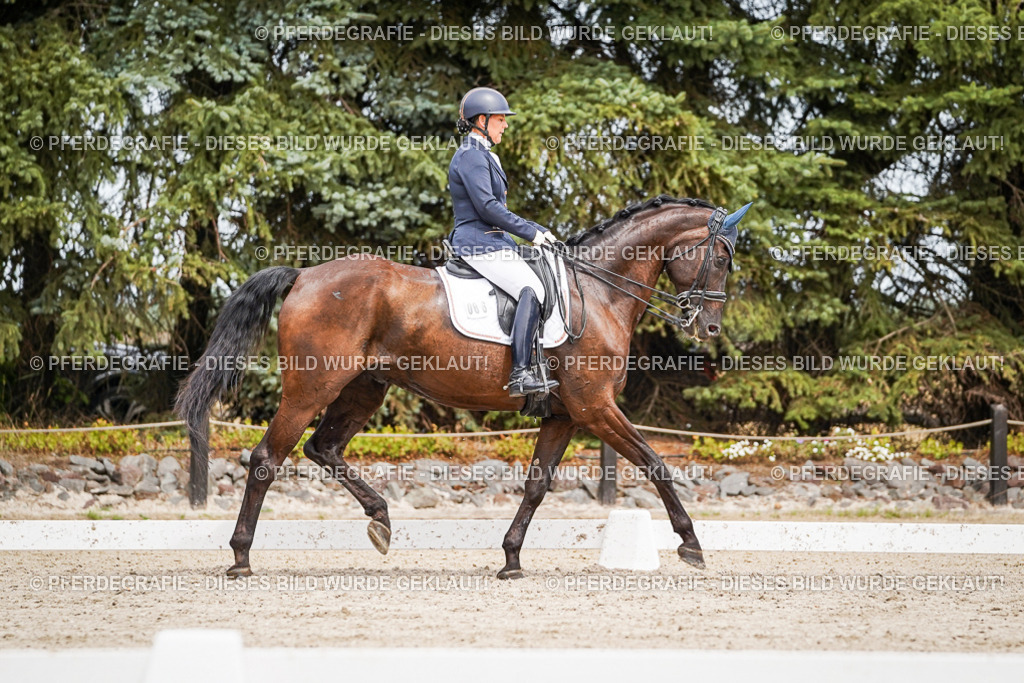 DSC05364 | Pferdegrafie